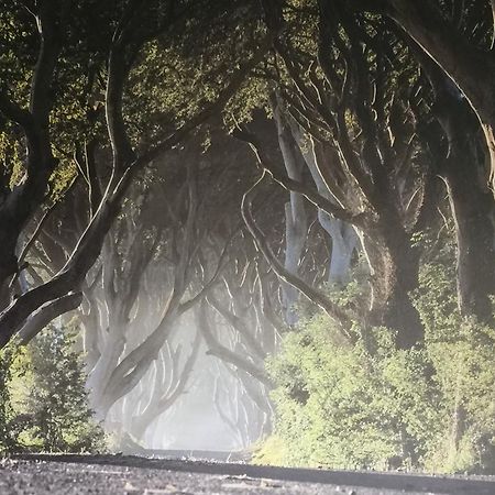 Dark Hedges Cottage Ballycastle Bagian luar foto