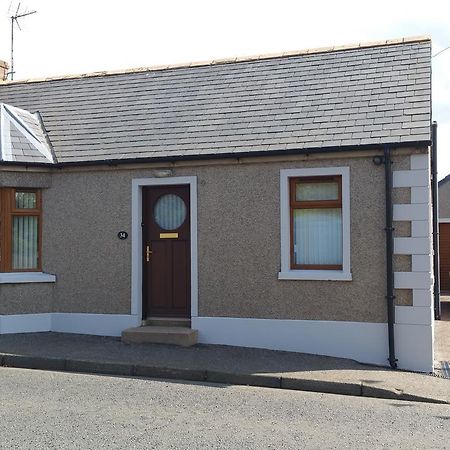 Dark Hedges Cottage Ballycastle Bagian luar foto