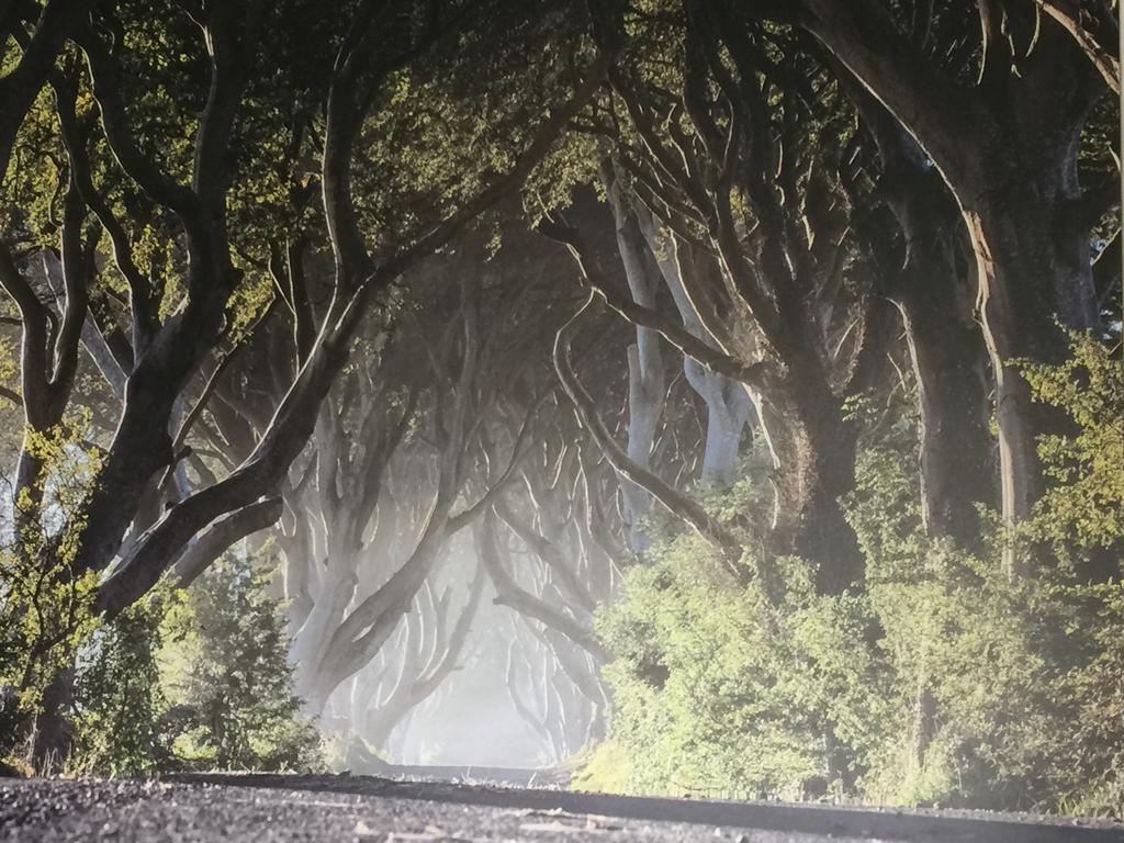 Dark Hedges Cottage Ballycastle Bagian luar foto