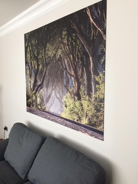 Dark Hedges Cottage Ballycastle Bagian luar foto